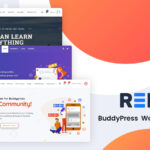 Reign-最高峰のテーマ