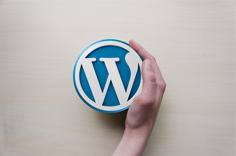 WordPress6.7の問題/  WP Downgrade